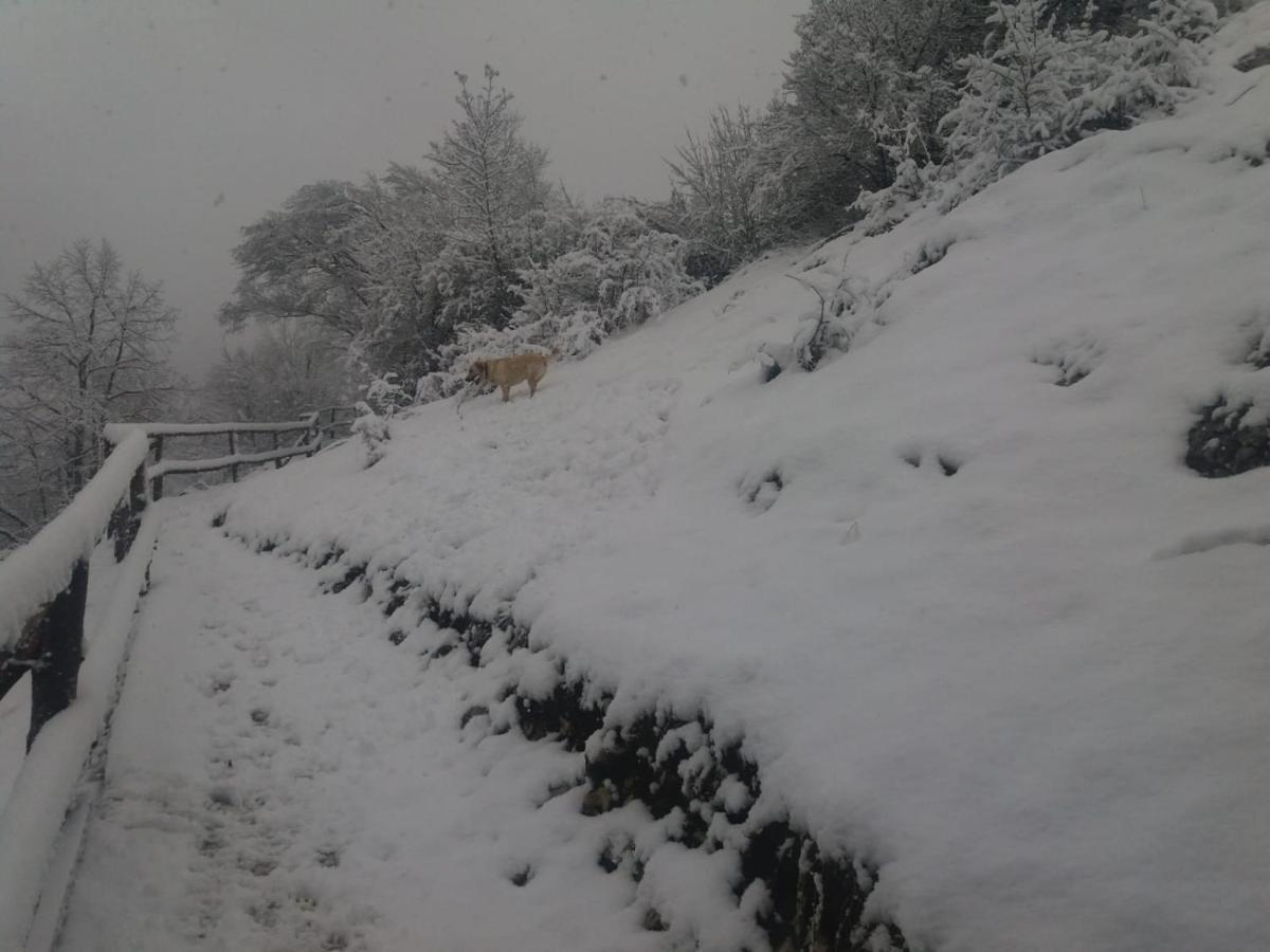 Ranch Farm Stay Rakovica Exterior foto